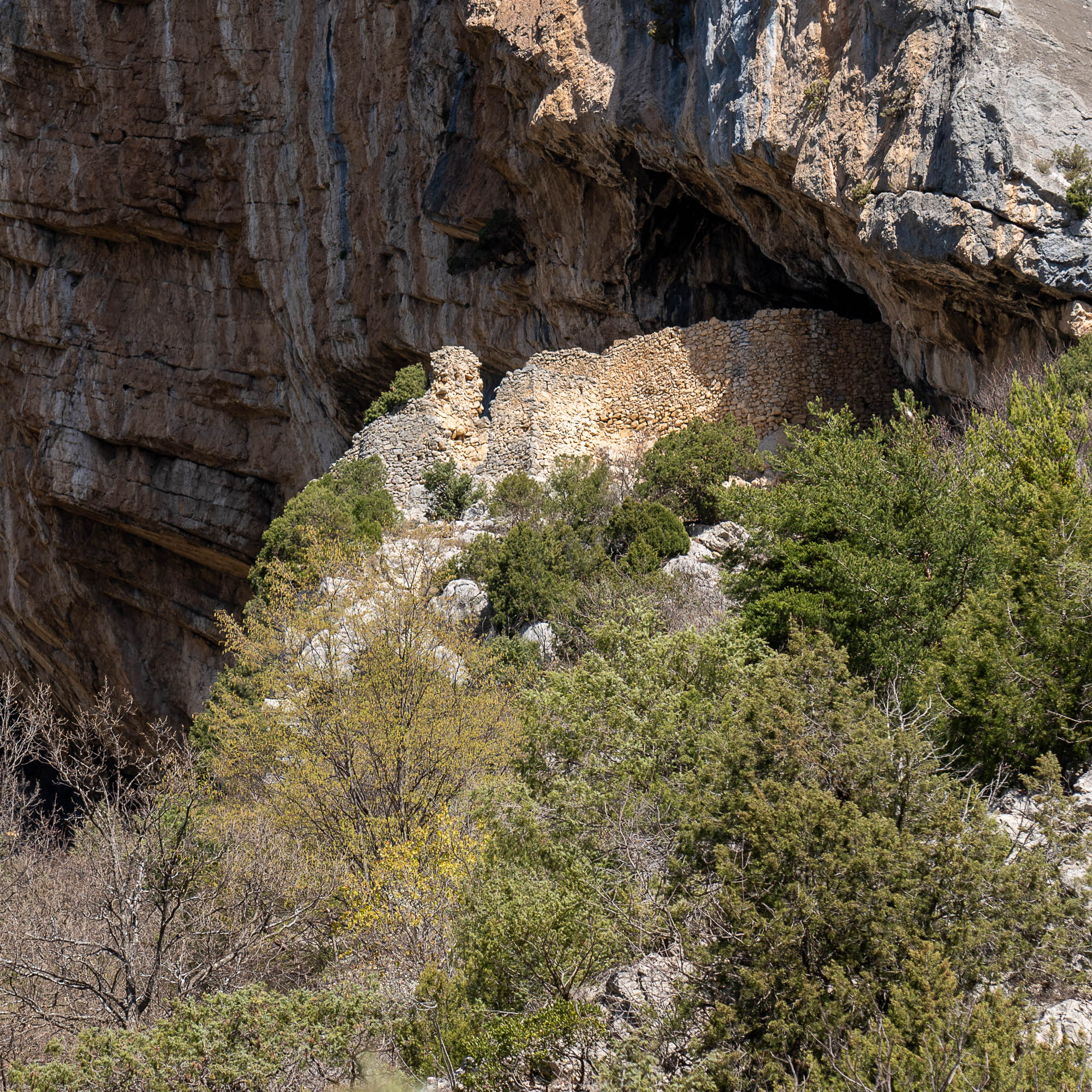 02 A7R0939 web