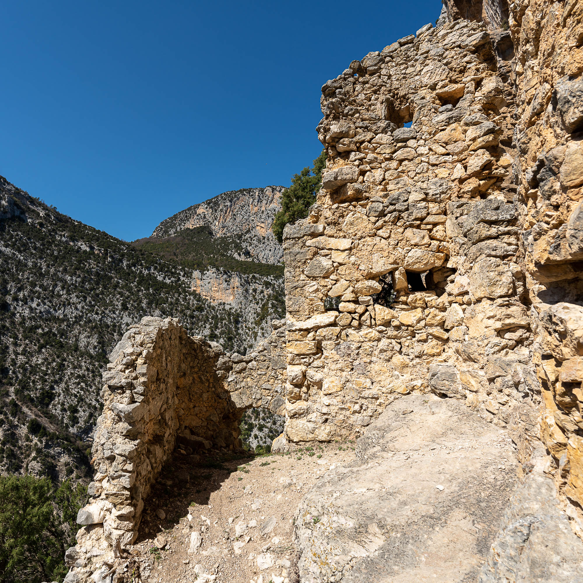 08 A7R0947 web
