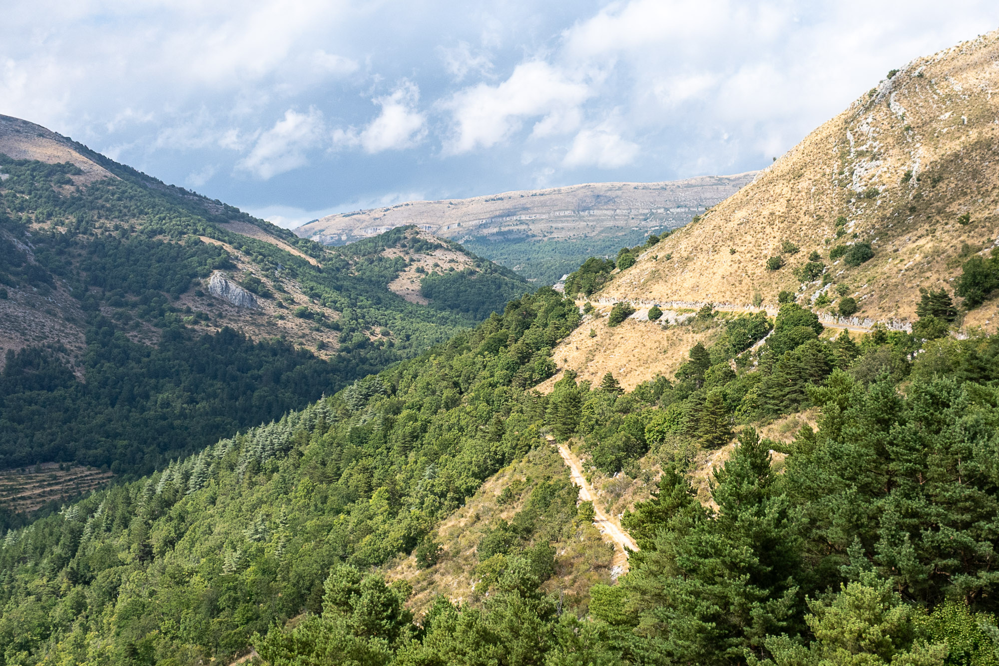 08 DJI 20250801170548 0059 D web