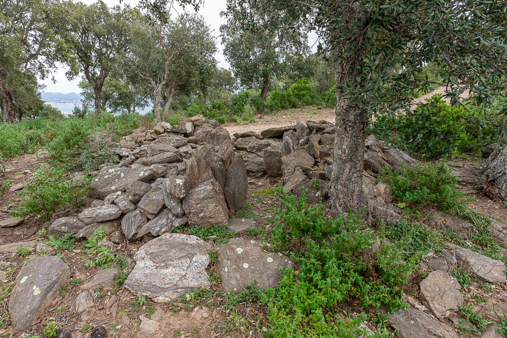 02 vue ouest A7R2930 web