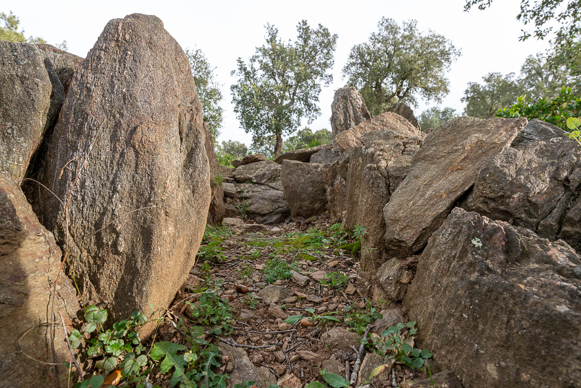 03 couloir vue ouest A7R2933 web