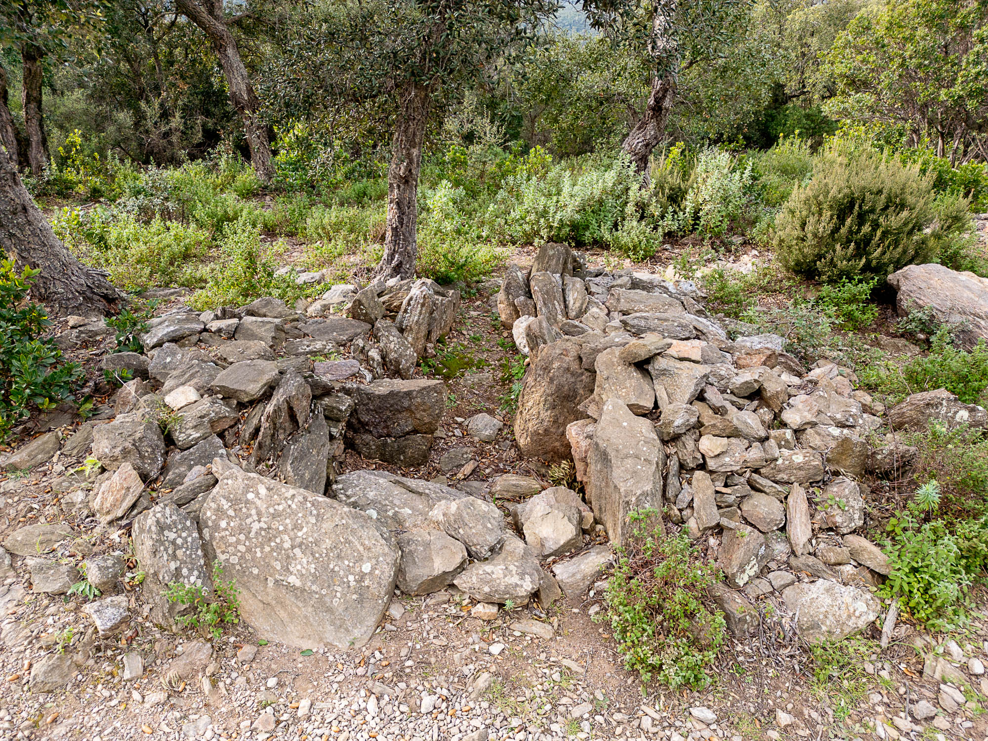 05 vue Est surplombDJI 0659 web