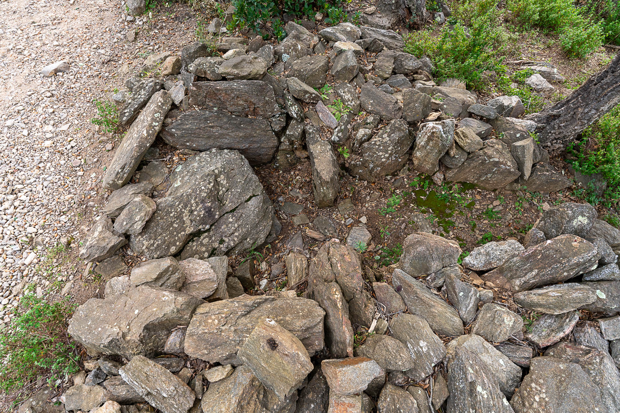 06 surplomb vue nord A7R2936 web