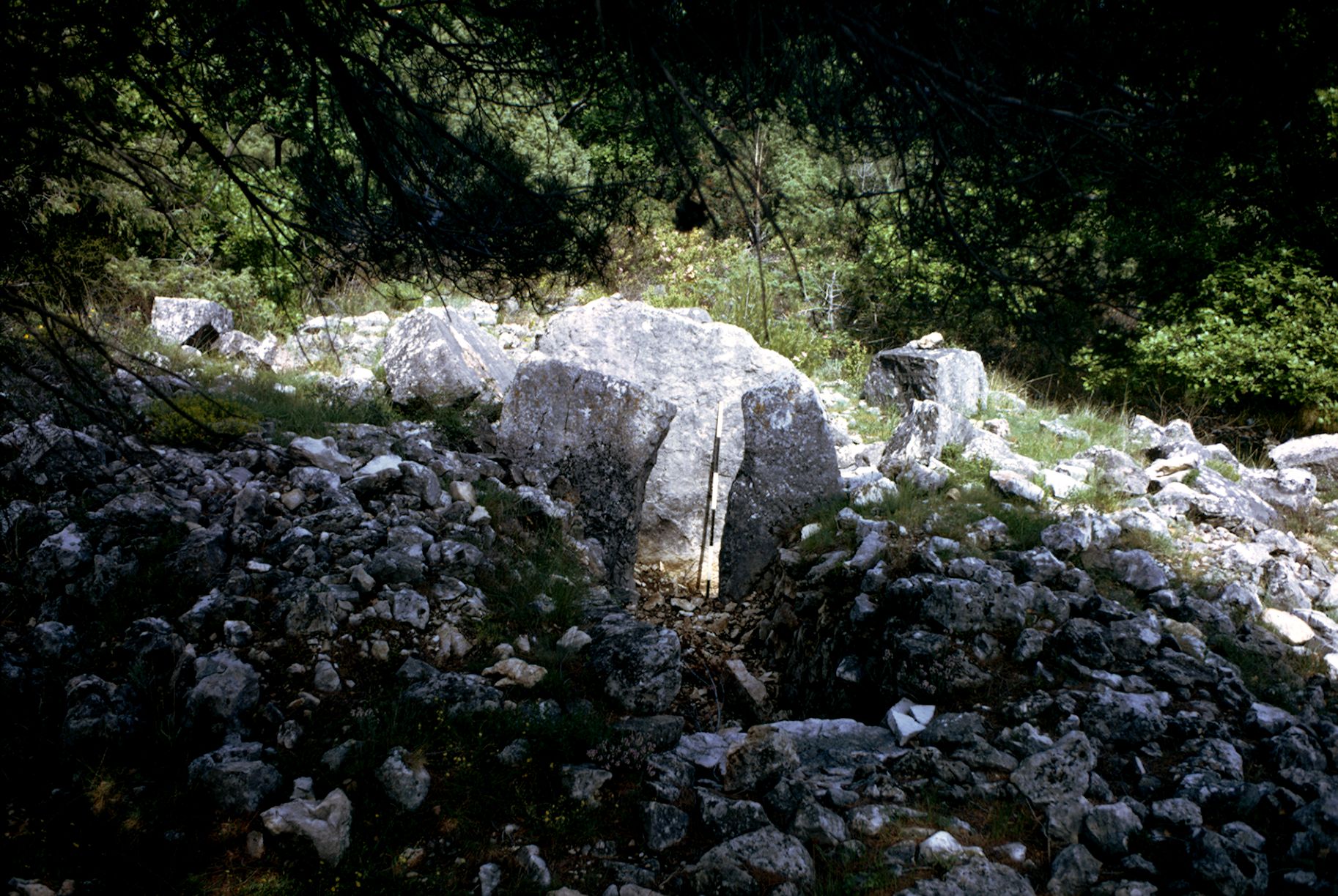 St Cézaire Dolmen des Puades 10A 052 1974