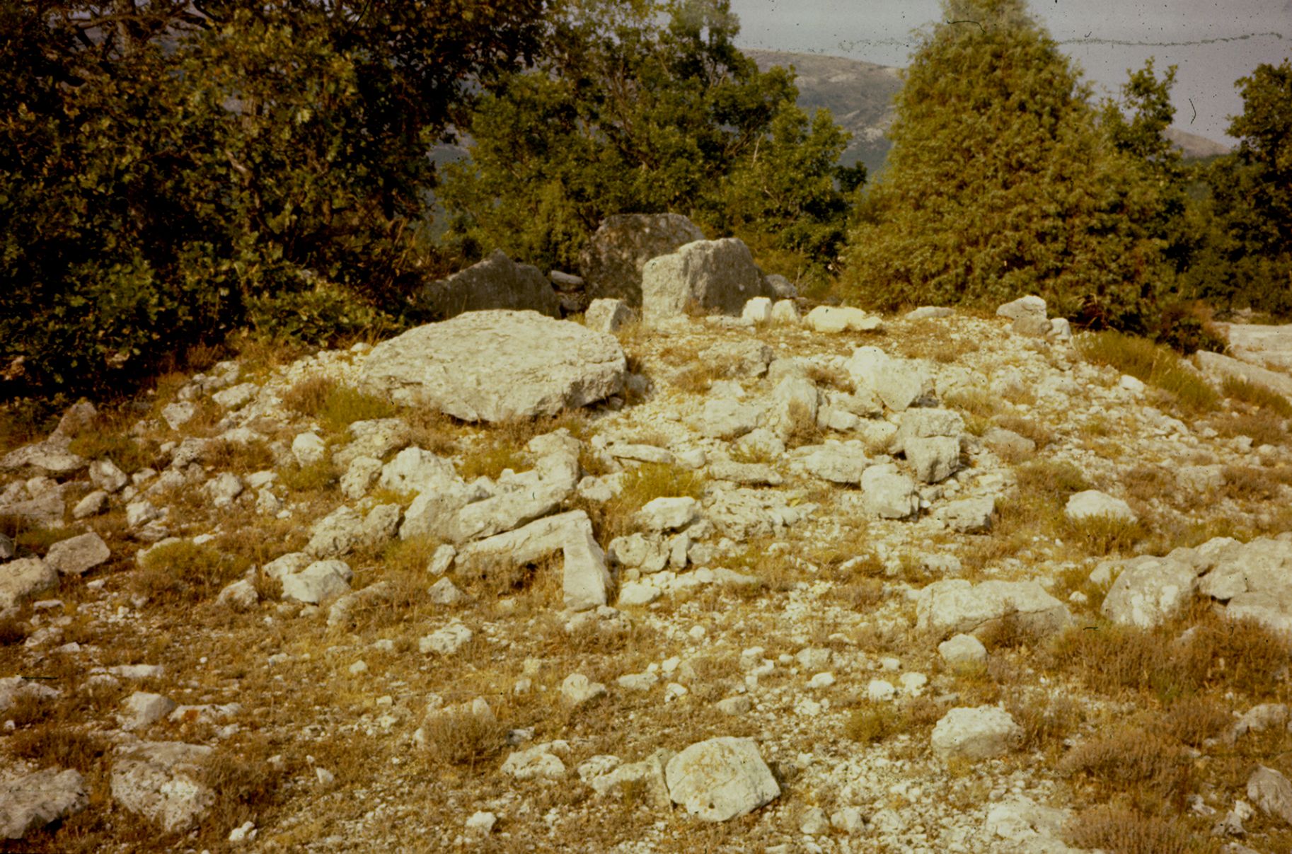 St Vallier Dolmen des Verdolines 10A 073 1974 gourdon 