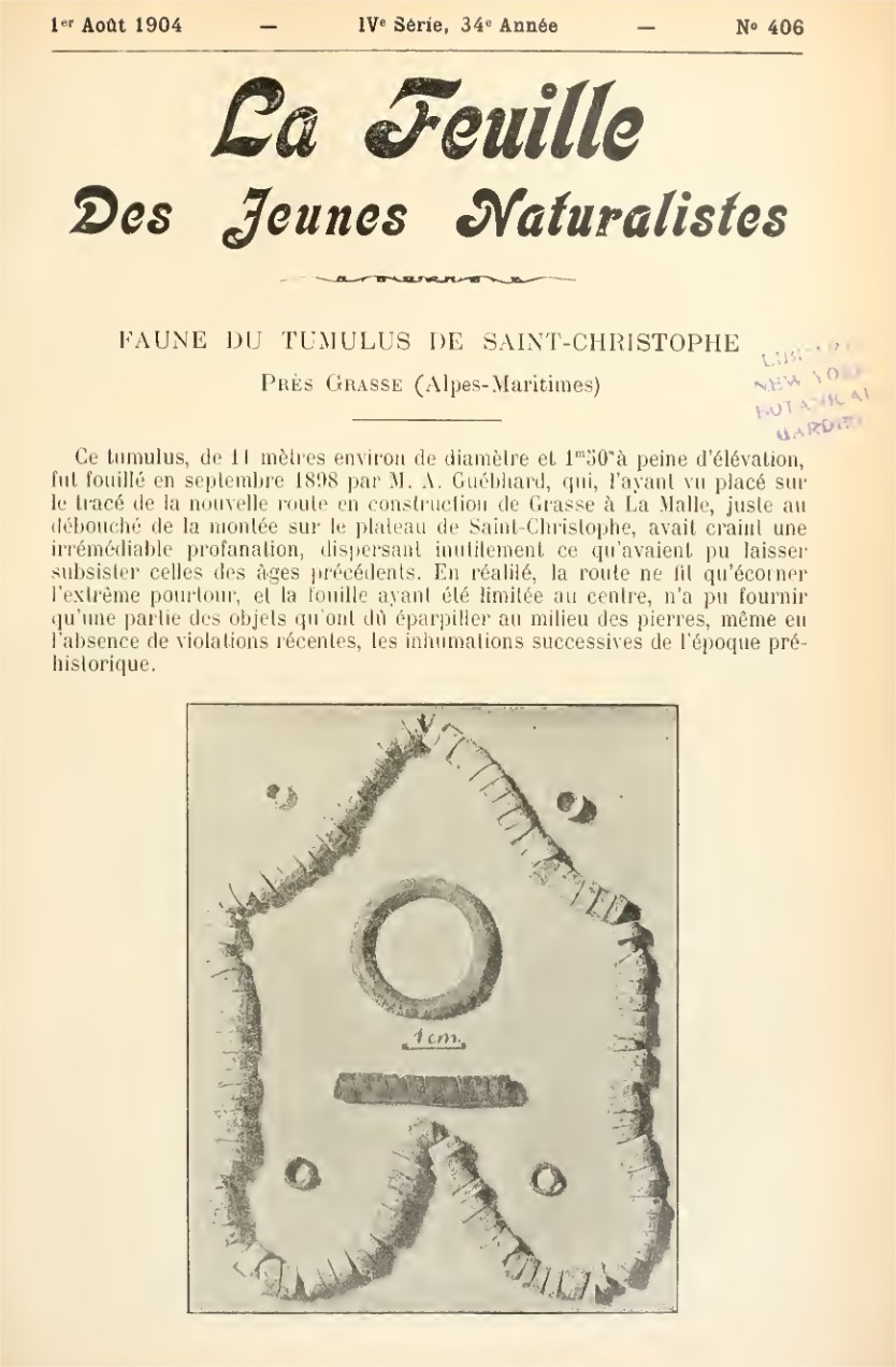 La Feuille des jeunes naturalistes wKhnoF2AcreABuQQA1HgHcjTxsk781.pdf Mozilla Firefox